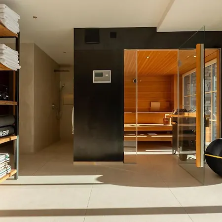 Apartment Contemporary Austrian Chalet Recently Completed Saalbach-Hinterglemm